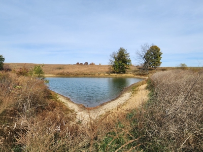 Land For Sale - image 8
