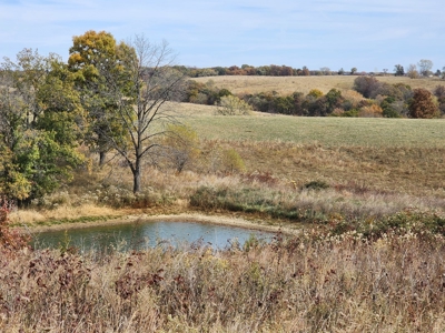Land For Sale - image 6