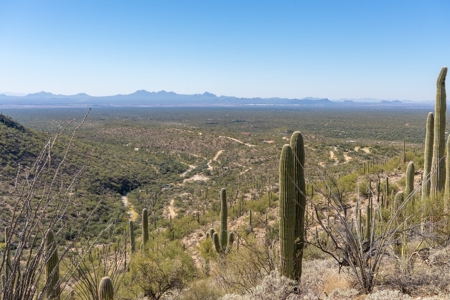 Live Auction, Carpenter Ranch, 434 Acres, Marana, Arizona - image 41