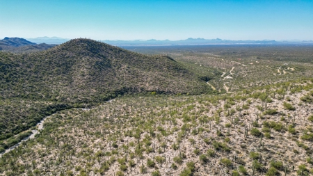 Live Auction, Carpenter Ranch, 434 Acres, Marana, Arizona - image 22