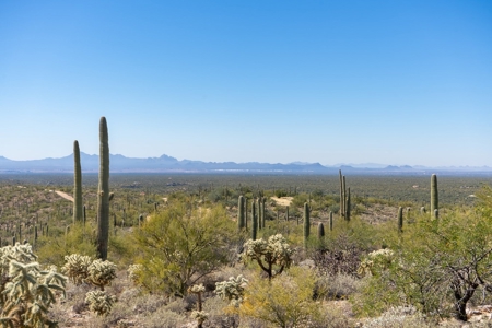 Live Auction, Carpenter Ranch, 434 Acres, Marana, Arizona - image 34