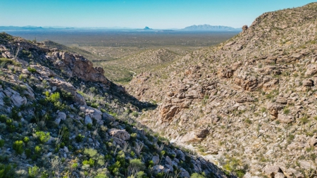 Live Auction, Carpenter Ranch, 434 Acres, Marana, Arizona - image 23