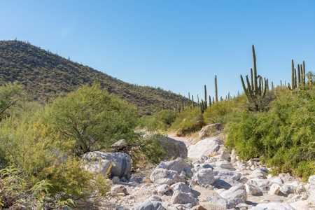 Live Auction, Carpenter Ranch, 434 Acres, Marana, Arizona - image 46