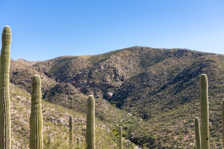 Live Auction, Carpenter Ranch, 434 Acres, Marana, Arizona - image 42