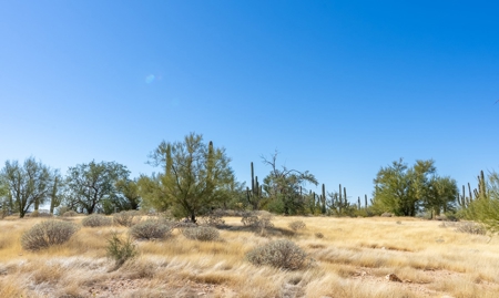 Live Auction, Carpenter Ranch, 434 Acres, Marana, Arizona - image 30