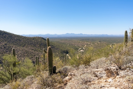 Live Auction, Carpenter Ranch, 434 Acres, Marana, Arizona - image 40