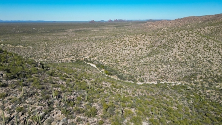 Live Auction, Carpenter Ranch, 434 Acres, Marana, Arizona - image 20
