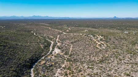 Live Auction, Carpenter Ranch, 434 Acres, Marana, Arizona - image 3