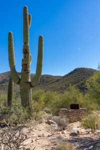 Live Auction, Carpenter Ranch, 434 Acres, Marana, Arizona - image 33
