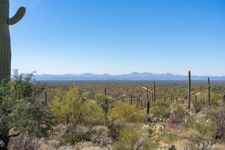 Live Auction, Carpenter Ranch, 434 Acres, Marana, Arizona - image 35