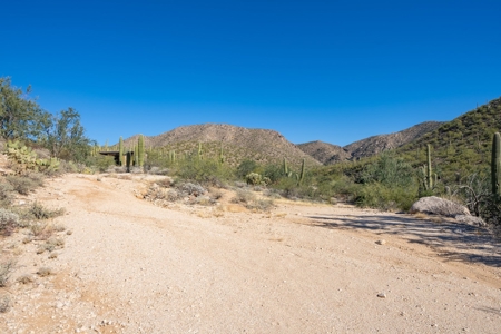 Live Auction, Carpenter Ranch, 434 Acres, Marana, Arizona - image 11