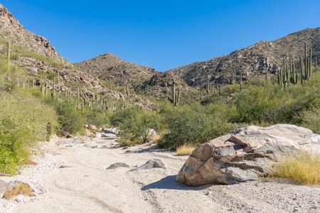 Live Auction, Carpenter Ranch, 434 Acres, Marana, Arizona - image 45