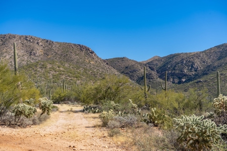 Live Auction, Carpenter Ranch, 434 Acres, Marana, Arizona - image 32