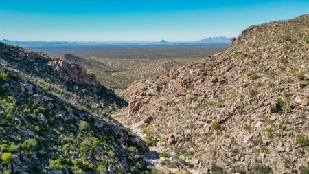 Live Auction, Carpenter Ranch, 434 Acres, Marana, Arizona - image 24
