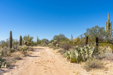 Live Auction, Carpenter Ranch, 434 Acres, Marana, Arizona - image 31