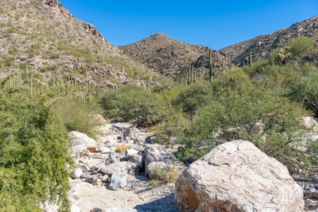 Live Auction, Carpenter Ranch, 434 Acres, Marana, Arizona - image 44