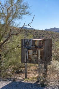 Live Auction, Carpenter Ranch, 434 Acres, Marana, Arizona - image 29