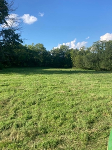 Absolute Auction - Home with Acreage in Burkesville, KY - image 8