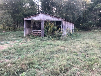 Absolute Auction - Home with Acreage in Burkesville, KY - image 6
