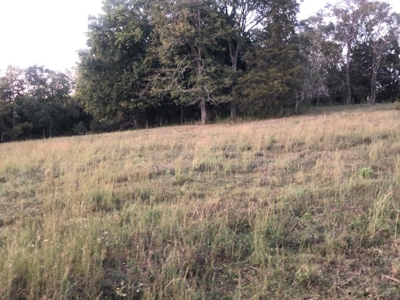 Absolute Auction - Home with Acreage in Burkesville, KY - image 10