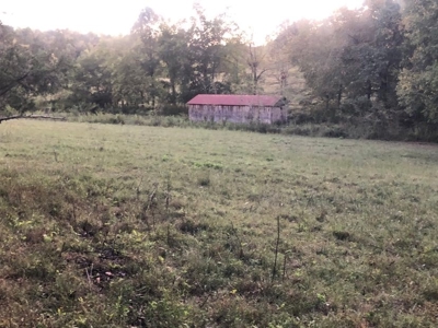 Absolute Auction - Home with Acreage in Burkesville, KY - image 12