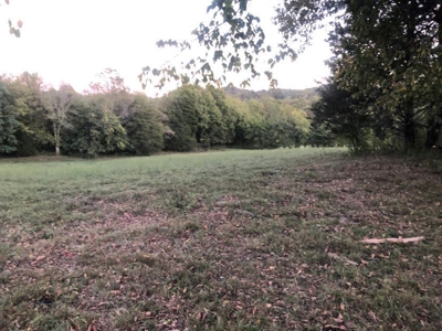 Absolute Auction - Home with Acreage in Burkesville, KY - image 11