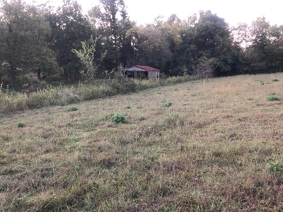 Absolute Auction - Home with Acreage in Burkesville, KY - image 9