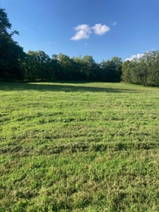 Absolute Auction - Home with Acreage in Burkesville, KY - image 7