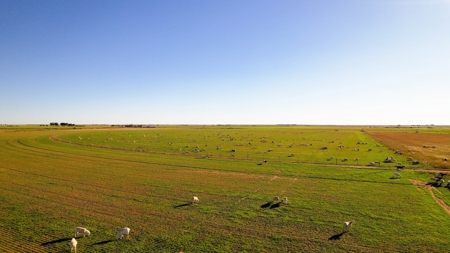 734 Acres In Lamb - Main Residence, Barns, Pens & 2Nd Home - image 2