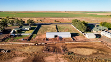 734 Acres In Lamb - Main Residence, Barns, Pens & 2Nd Home - image 10