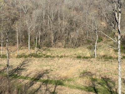 ESTATE AUCTION Beautiful Custom Built Log Home and 57+/- Ac - image 13