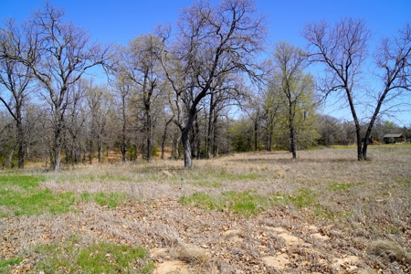 No Reserve Land Auction, Bell Cow Lake, Chandler, OK - image 16