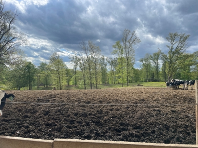 4 bedroom 3 bath home & farm for sale near Smiths Grove, Ky. - image 18