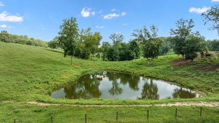 4 bedroom 3 bath home & farm for sale near Smiths Grove, Ky. - image 36