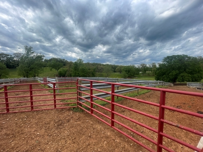 4 bedroom 3 bath home & farm for sale near Smiths Grove, Ky. - image 11