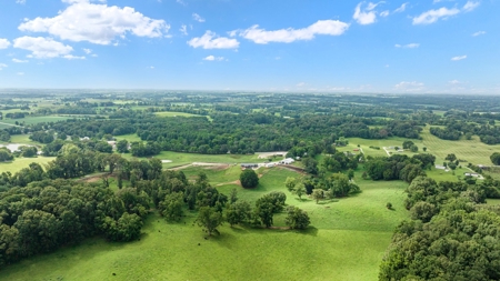 4 bedroom 3 bath home & farm for sale near Smiths Grove, Ky. - image 34