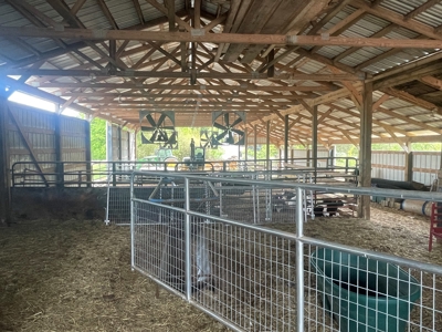 4 bedroom 3 bath home & farm for sale near Smiths Grove, Ky. - image 13