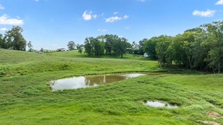 4 bedroom 3 bath home & farm for sale near Smiths Grove, Ky. - image 37