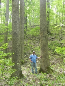 Absolute Auction-Live On-Site-Acreage in Cumberland County - image 33
