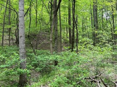 Absolute Auction-Live On-Site-Acreage in Cumberland County - image 10