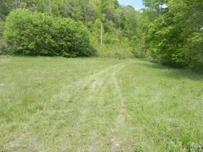 Absolute Auction-Live On-Site-Acreage in Cumberland County - image 30