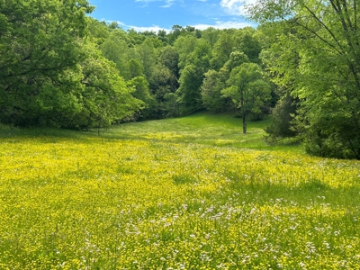 Absolute Auction-Live On-Site-Acreage in Cumberland County - image 7