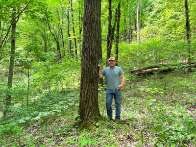 Absolute Auction-Live On-Site-Acreage in Cumberland County - image 13