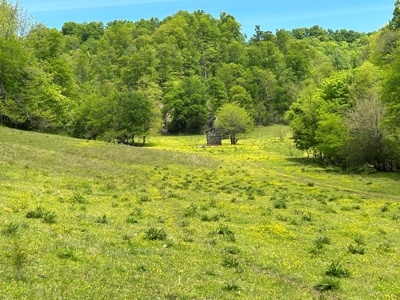 Absolute Auction-Live On-Site-Acreage in Cumberland County - image 15