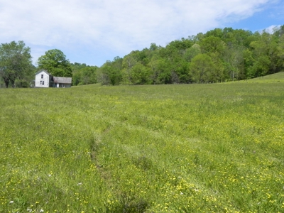 Absolute Auction-Live On-Site-Acreage in Cumberland County - image 26