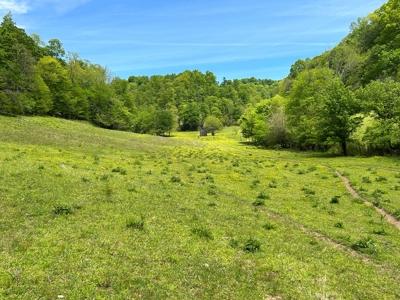 Absolute Auction-Live On-Site-Acreage in Cumberland County - image 14