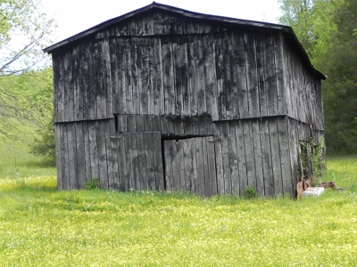 Absolute Auction-Live On-Site-Acreage in Cumberland County - image 31