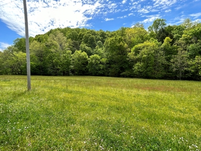Absolute Auction-Live On-Site-Acreage in Cumberland County - image 2