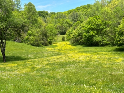 Absolute Auction-Live On-Site-Acreage in Cumberland County - image 12