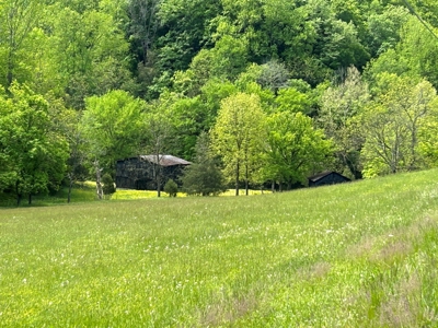 Absolute Auction-Live On-Site-Acreage in Cumberland County - image 5